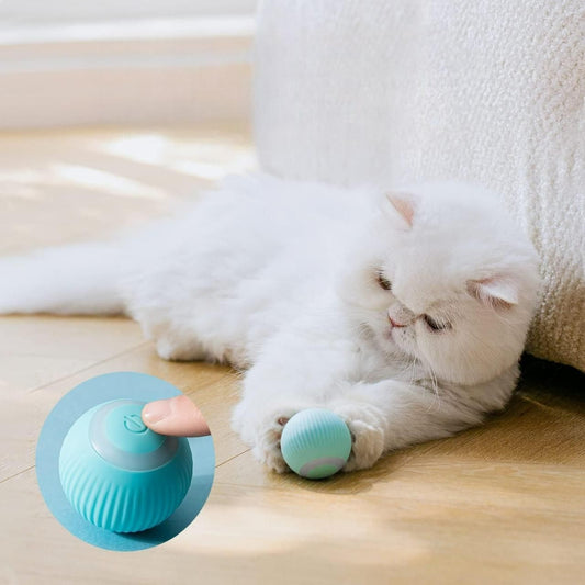 Rotating Cat Toy Ball, Interactive Cat Toys Rechargeable Rotating Ball with LED - Flexyfi